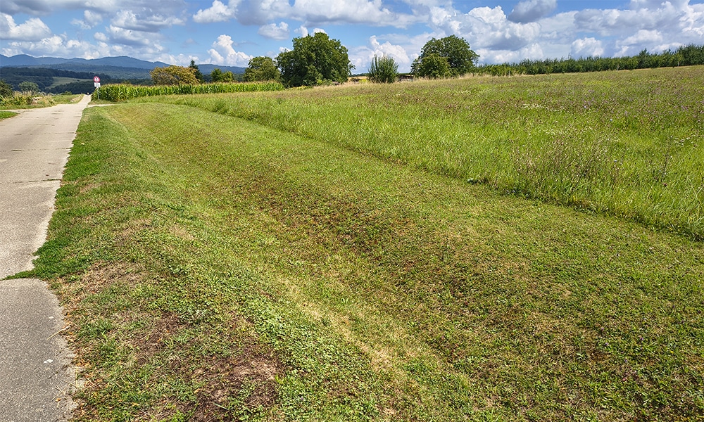 Grünstreifen mit Entwässerungsgraben neben Feldweg im Südschwarzwald