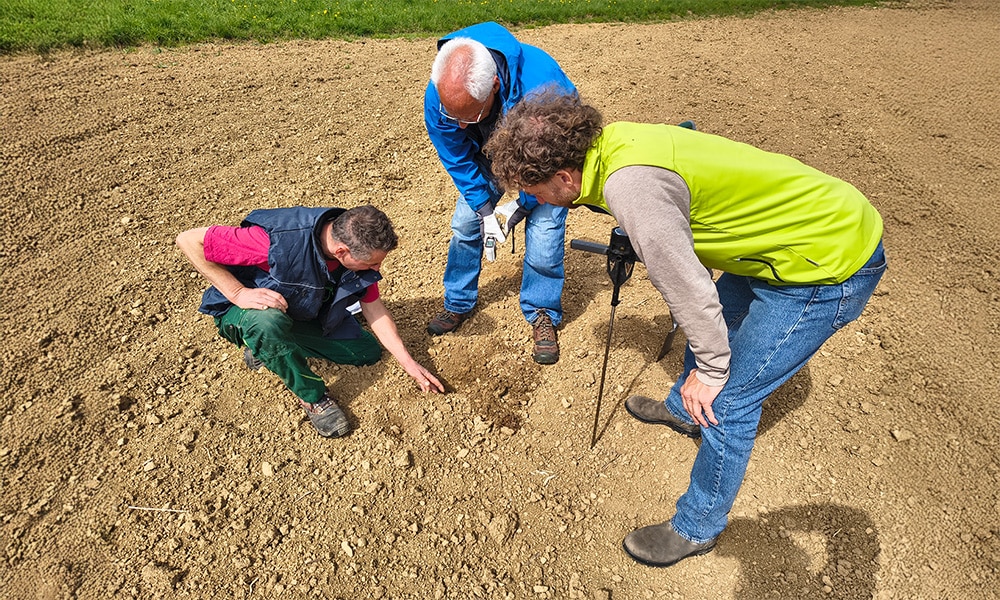 Bodenanalyse auf dem Feld: Drei Personen untersuchen Erde