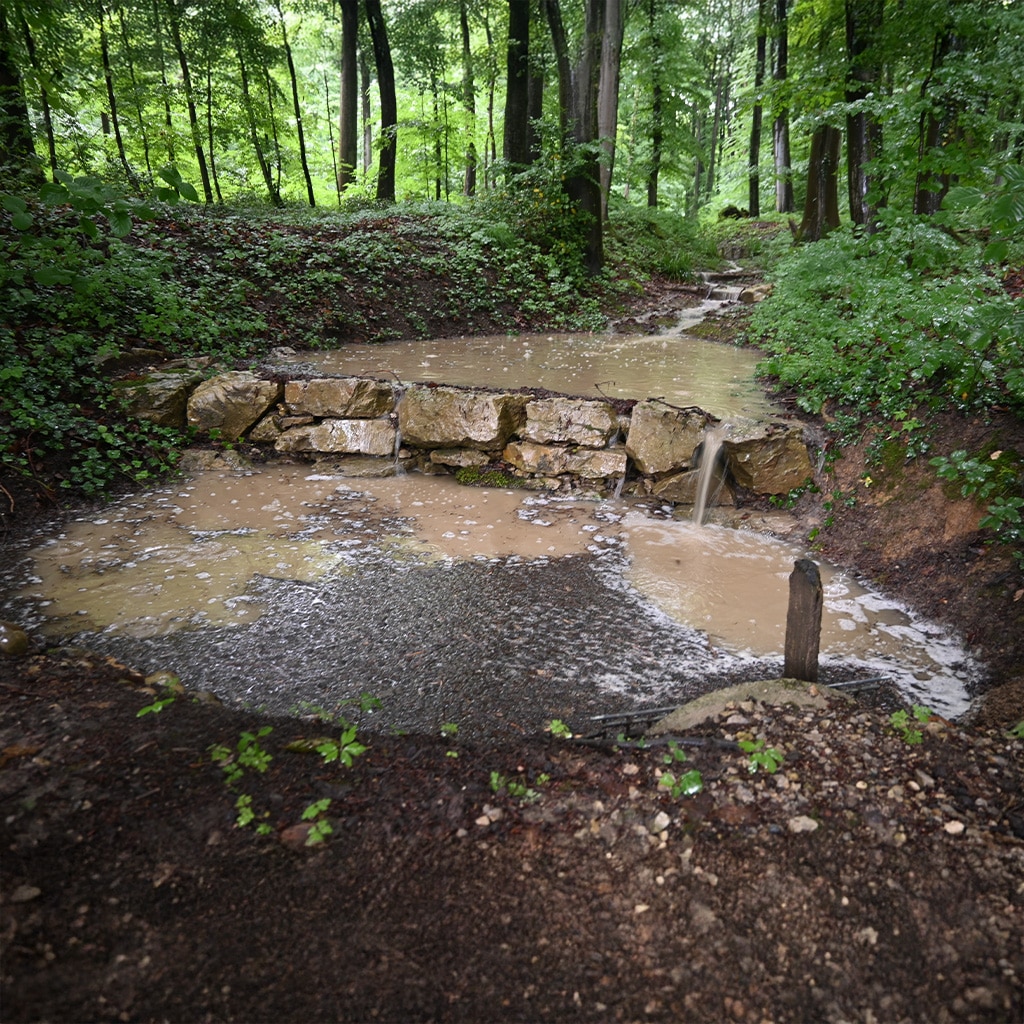 Regenrückhalt im Wald mit Natursteinen und braunem Wasser