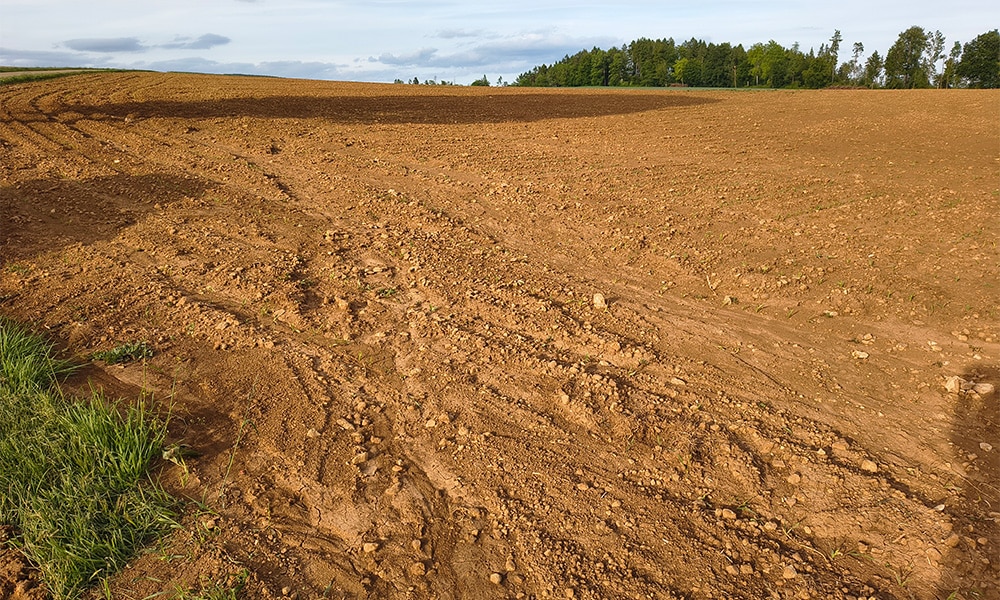Blick auf braunes Ackerfeld mit Spuren von Bodenerosion und Reifenabdrücken