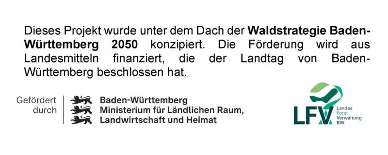 Förderhinweis: "Dieses Projekt wurde unter dem Dach der Waldstrategie Baden-Württemberg 2050 konzipiert. Die Förderung wird aus Landesmitteln finanziert, die der Landtag von Baden-Württemberg beschlossen hat." Darunter sind die Logos des Ministeriums für Ländlichen Raum, Landwirtschaft und Heimat Baden-Württemberg sowie das Logo der Landesforstverwaltung BW zu sehen.