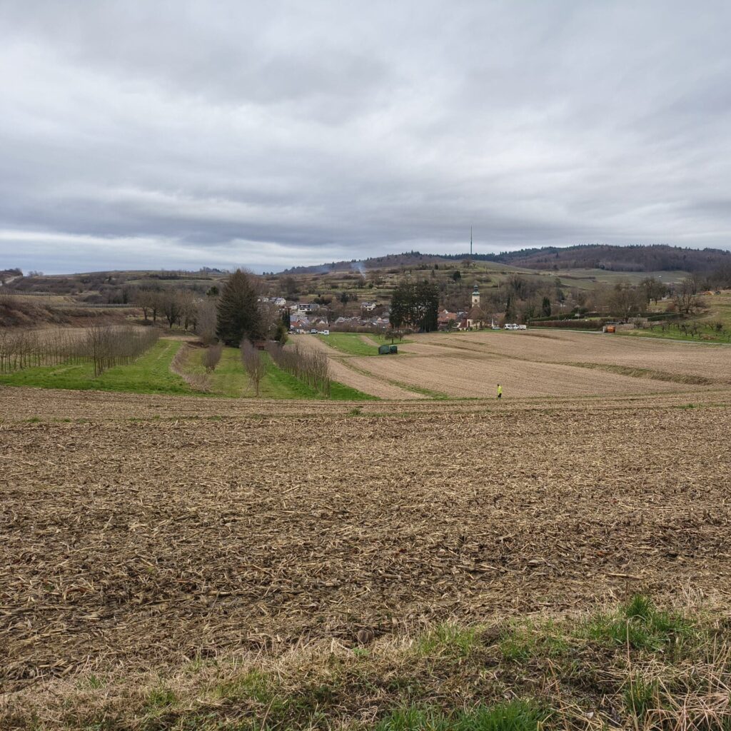 Landschaft mit Ackerflächen, Grünland und Obstbäumen